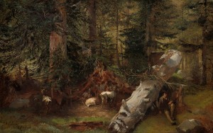 A fallen tree in the forest